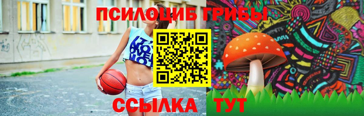 Искитим  Галлюциногенные грибы мухоморы  Псилоцибиновые грибы GOLDEN TEACHER  Вход с VPN 