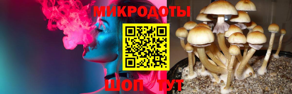 Галлюциногенные грибы прущие грибы Искитим